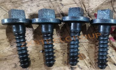 ZongXiang exported a batch of rail screw spike to Singapore